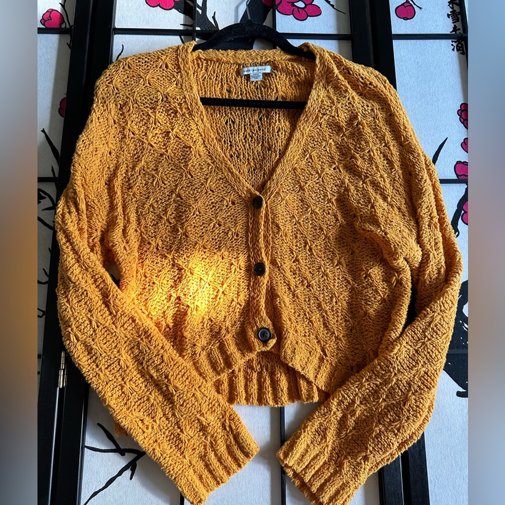 American Eagle Amber Cardigan